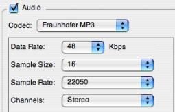 cambiar el tamaño del audio