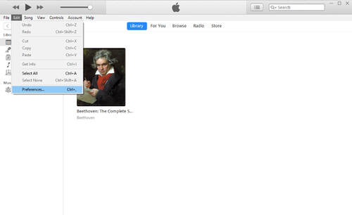 open iTunes voorkeur