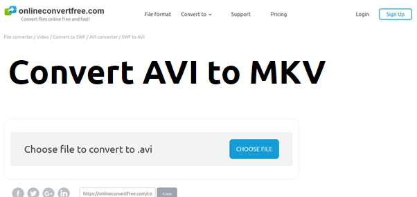 converter AVI para MKV por OnlineConvertFree