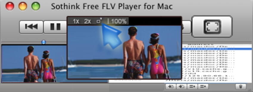 lettore video flv per mac