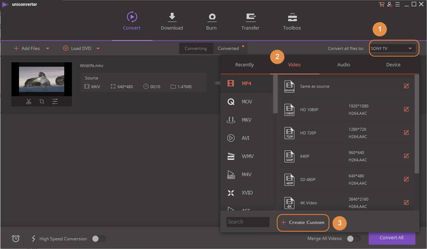 convert mkv to ts - setting