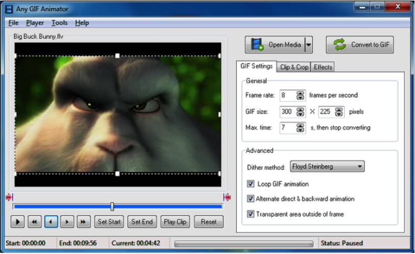 gratis Video zu GIF Konverter - Any GIF Animator